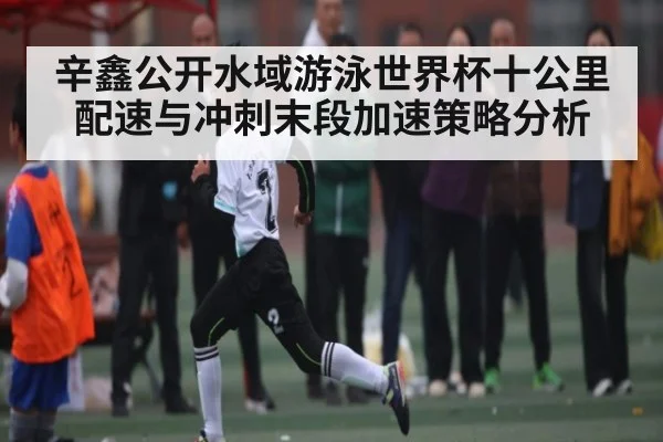 辛鑫公开水域游泳世界杯十公里配速与冲刺末段加速策略分析